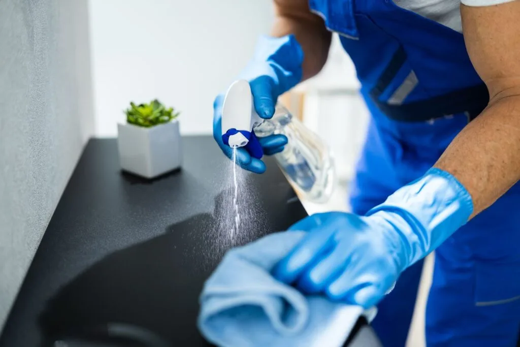 Wearing blue gloves, a person uses a spray bottle and cloth to clean a black surface, adding a touch of freshness to the home. Nearby, a small potted plant contributes to the cozy atmosphere.