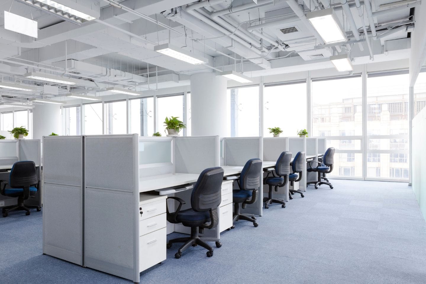A modern office space dedicated to offering top-notch services, with rows of empty workstations, swivel chairs, and potted plants, featuring large windows allowing natural light.
