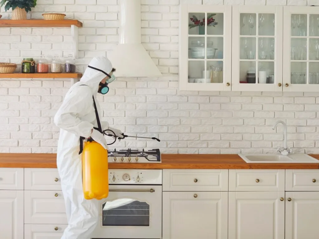 A person in protective gear uses a sprayer to disinfect a modern white kitchen, helping ensure a germ-free home during cold and flu season.