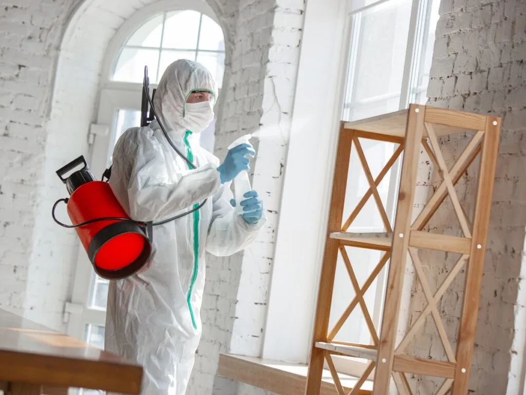 A person in protective gear sprays disinfectant on shelves in a bright education room with white brick walls, sunlight streaming through the window.