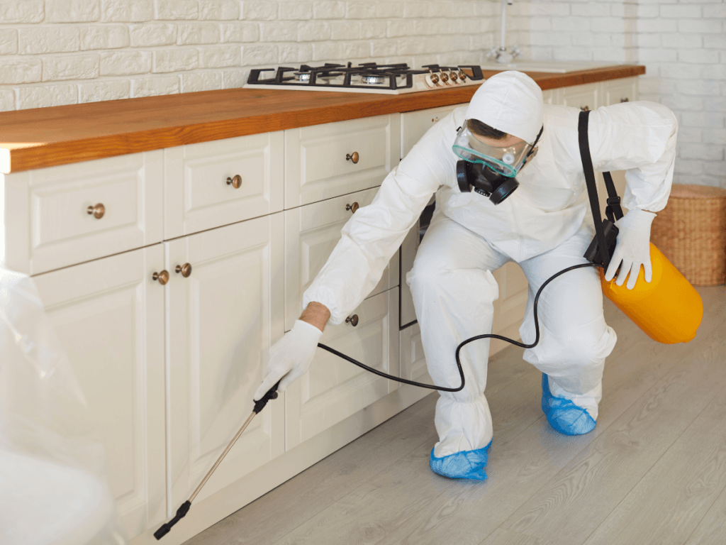 A person in protective gear sprays pest control chemicals along the floor and cabinets in a kitchen, highlighting the disinfecting sanitizing difference for maintaining a safe, hygienic space.